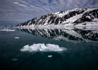 Arctic Beauty
