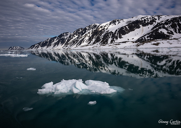 Arctic Beauty