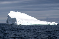 Arctic Ice