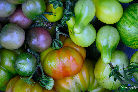 Tomatoes!