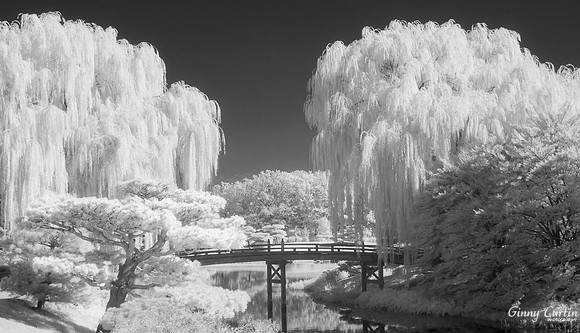 Chicago Botanic Garden