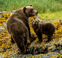 Looking Up to Mom!
