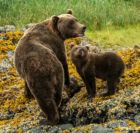Looking Up to Mom!
