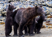 All is Good with Mom on our Side!