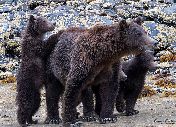All is Good with Mom on our Side!