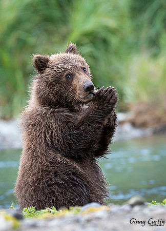 Praying for more Salmon!