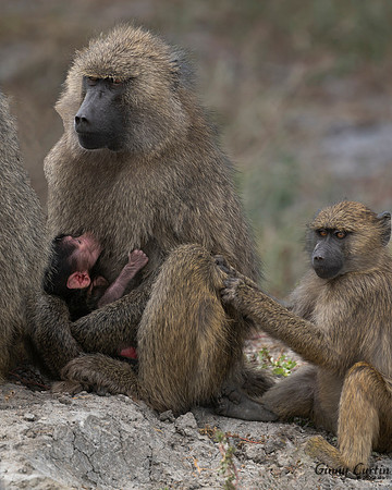Mother's Protection