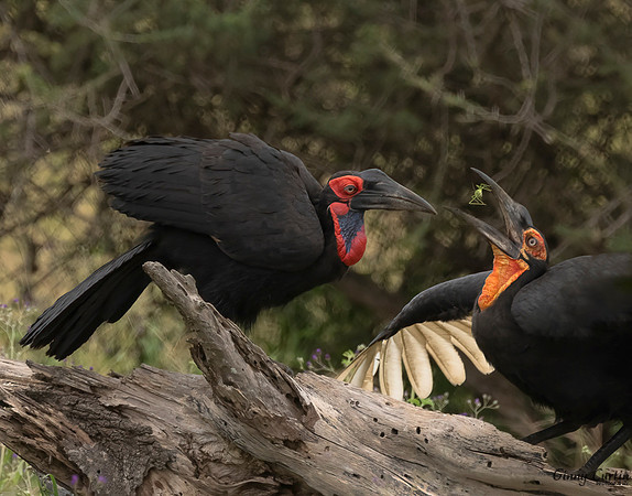 Sharing A Snack!
