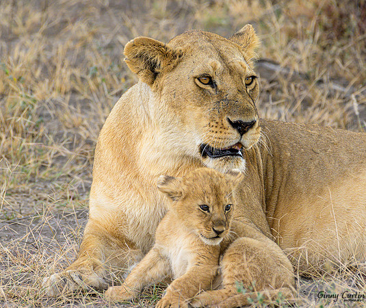 Spending time with Mom