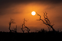 Texas Sunset