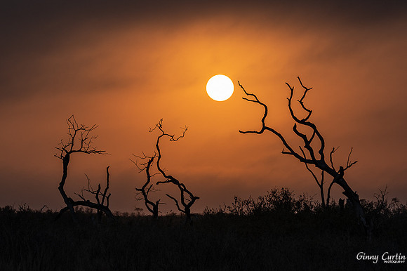 Texas Sunset
