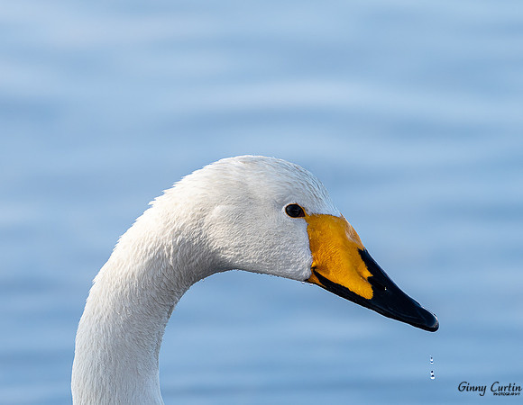 _D502153-Edit
