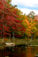 Canon Brook Pond, Acadia NP