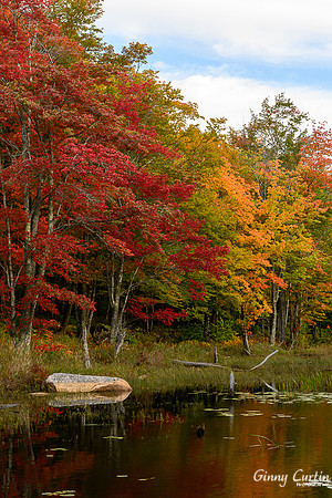Canon Brook Pond, Acadia NP