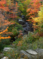 Duck Brook, Acadia NP