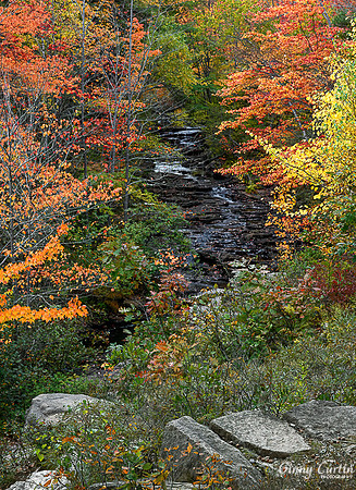 Duck Brook, Acadia NP