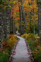 Sieur de Monts, Acadia NP