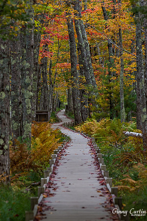 Sieur de Monts, Acadia NP