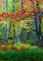 Sieur de Monts, Acadia NP