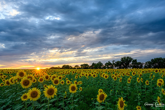 _DSC1234-HDR