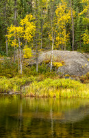 Fall Reflections