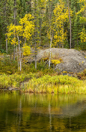 Fall Reflections