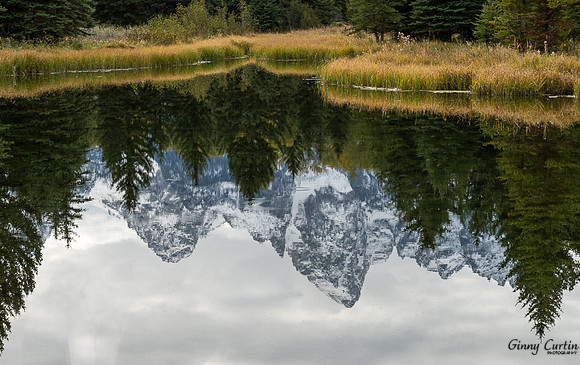 Reflection at Schwabacher Landing