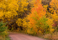 Down the Road