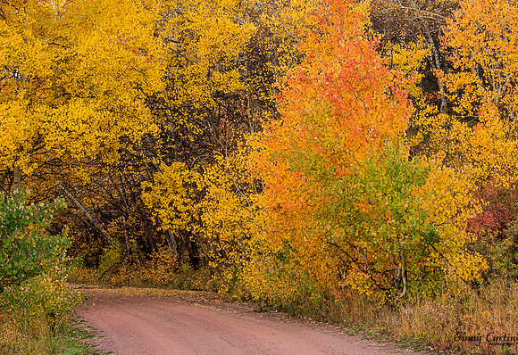 Down the Road