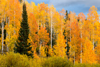 Fall's Beauty