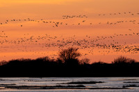 Platte River Sunset