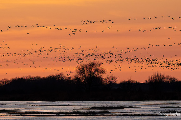 Platte River Sunset