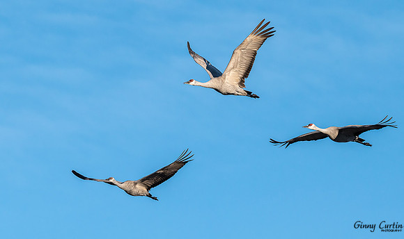 Soaring!